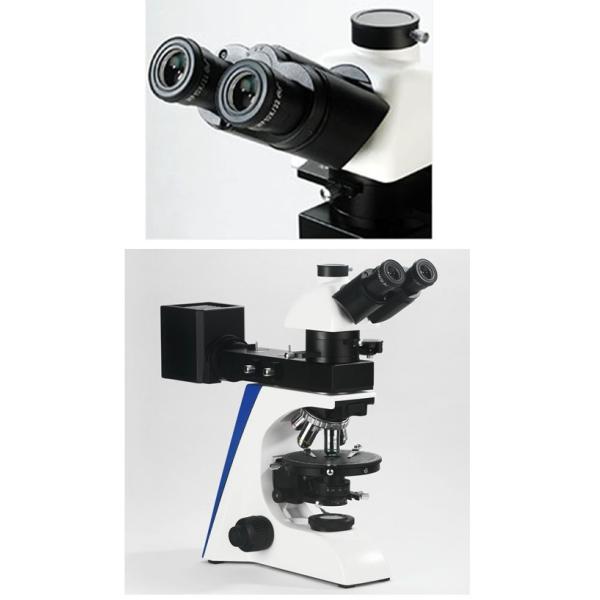 Reflecting Illumination Compound Light Microscope Polarizing Siedentopf