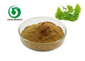 China Natural Ginkgo Biloba Extract 24% Flavones 6% Lactones For Health Care on sale