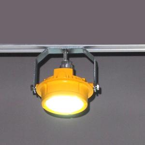 China 2000lum Waterproof LED Canopy Light 20 Watt WF2 Marine Dock Lighting Fixtures factory
