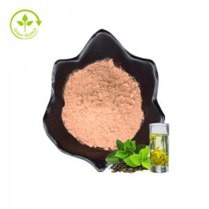 China ISO Free Samples Instant Green Tea Powder 20%Polyphenols Health Food Water Soluble Organic Green Tea Extract factory