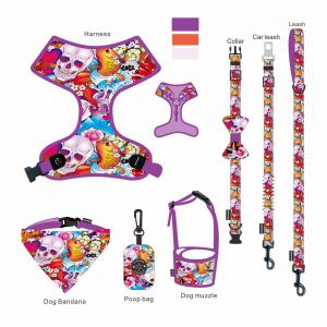 China 7 Pieces Small Soft Dog Harness M Size Collar Leash Set Ribbon Decoration factory