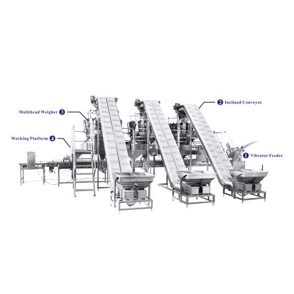 90P/M Automatic Weighing And Bagging Machine