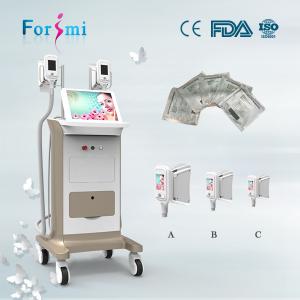 Cryolipolysis body sculpting freezing fat cell slimming machine freeze that fat