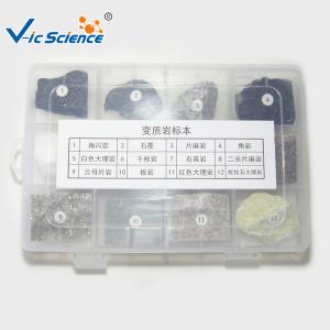 Professional Mineral And Rock Specimens Metamorphic Rock Samples