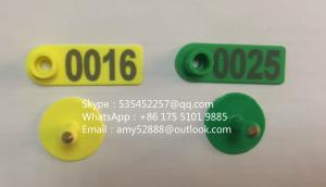 China Ear Tag For Sheep/Pig/Cow factory