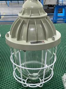 China ATEX Explosion Proof HID Light IP55 Optional Lamp Shade 70-400W factory