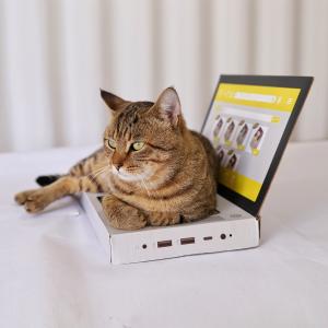 Corrugated Cat Scratching Board Computer-Shaped Cat Scratching Board Hot Sell