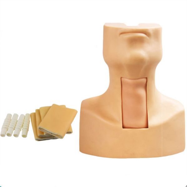 Medical Emergency Training Advanced Tracheostomy Simulator On CPR Model