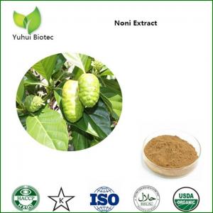 China Noni Extract,noni powder,noni fruit extract,noni p.e,noni fruit powder on sale