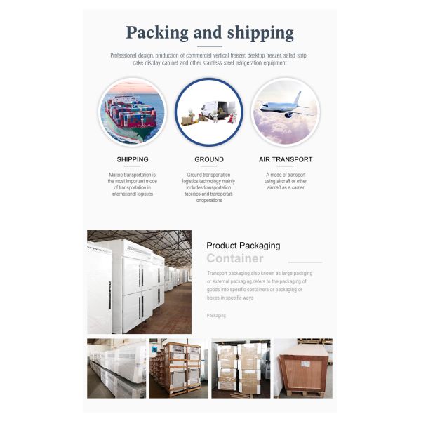 European Kitchen Used Commercial Luxury Restaurant Refrigerator Fridge