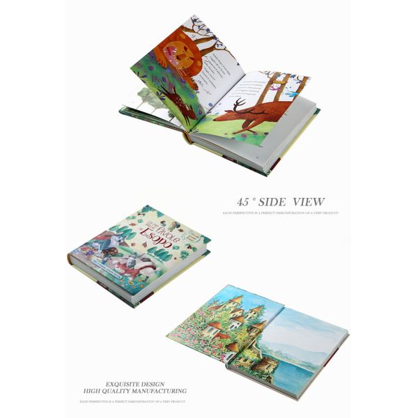 Full Color Hardcover Children's Book Printing Customized Service A4 A5 Size