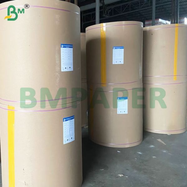 135-350 GSM High Stiffness Food Container Paper Roll for Paper Bowl 135-350 GSM High Stiffness Food Container Paper Roll for Paper Bowl