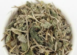 China Humulus scandens dried whole plant Japanese Hop Herb medicinal plants lv cao factory