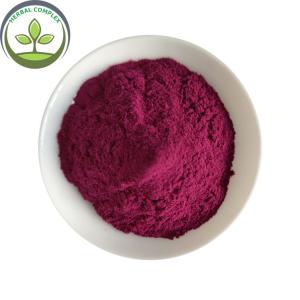 China Antioxidants Food Grade Bilberry Fruit Powder With Best Price factory