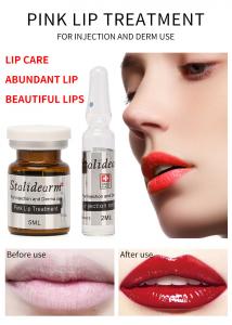 China Stalideram Brand Pink Lip Injection Treatment Serum Derma Microneedling Mesotherapy Lip Repair Essence factory