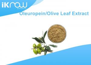 China Brownish Yellow Olive Leaf Extract / Oleuropein 20%~60% For Health on sale