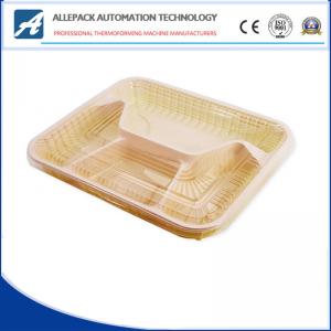 China XG-P Disposable Plastic Containers / Plastic Takeaway Food Container OEM Available on sale