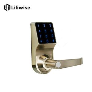 China Remote Door Code Door Lock Touch Screen Panel Design For Digital Apartment factory