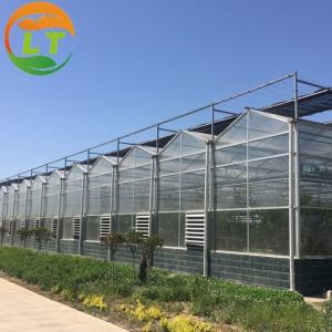 China Transparent Glass Greenhouse for Sustainable Vegetable Planting and Plant Growth factory