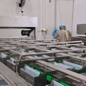 High-capacity Dates Sorting Machine, High Efficiency, 6 lanes+10 outlets, 1.8