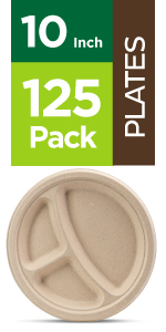 10 inch 3 compartment