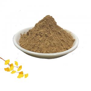 China Herb 24 Flavone Ginkgo Biloba Leaf Extract 6% Lactones factory