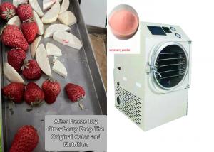 China Food Fruit Vegetable Mini Freeze Dryer For Home Use factory