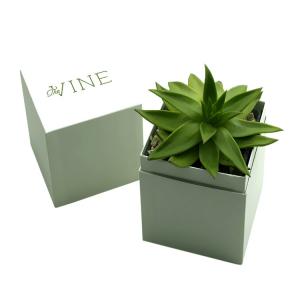 China Custom Printed Succulent Planter Gift Box Succulent Packaging Box factory