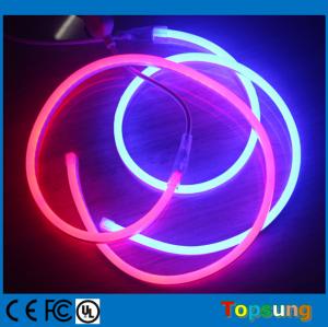 China led neon rope light 8*16mm rgb flex neon light with 220/110 voltages factory