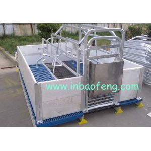 China Anti Rust Pig Farrowing Crates For Animals Galvanized Pipe And PE Plate Materials factory