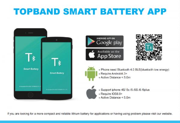 Topband Lithium Phosphate Battery , Lifepo4 Battery Pack OEM Accepted