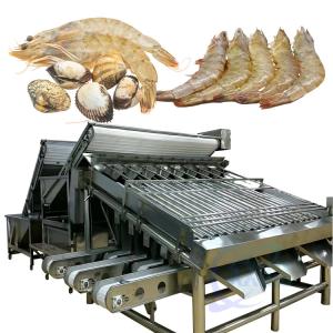 China Automated Food Processing Line Fish Sorting Machine Shrimp Cleaning And Sorting Machine on sale