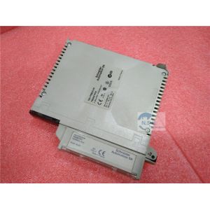 Automated Schneider Modicon TSXASY410 Analog Output Module Modicon Premium