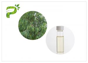 China Eucalyptus Globulus natural plant oils 8000 48 4 Colorless to light yellow liquid factory