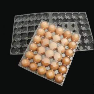 China 5X6 Disposable Plastic Egg Tray 30 Holes Transparent Egg Tray Plastic factory