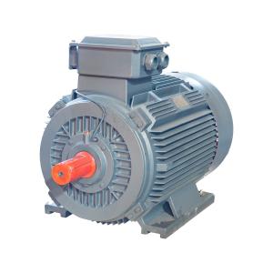 China 750W Industrial AC Motors 50HZ /60HZ 380V Induction Motor Asynchronous factory