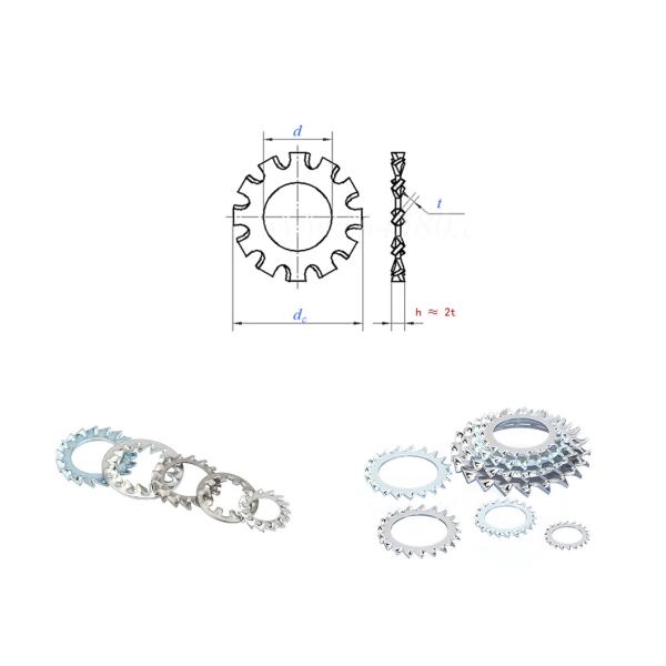 Smooth Surface Spring Lock Washer 4.2 Mm - 35.5 Mm Serrated Flat Washer