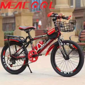 China Junior 22in Mountain Bike Light Frame Mountain Bike 6 Speed With Fender Carrier factory