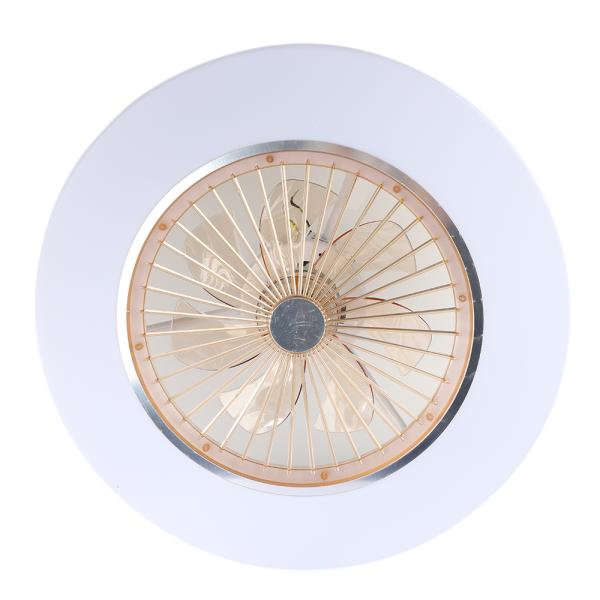 APP Control Ceiling Fans Light LED Dimming 110V 220V ceiling fan with lights remote control(WH-VLL-11)