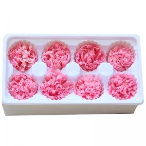 China Factory Price Preserved Flowers Real Preserved Carnation For Mother on sale