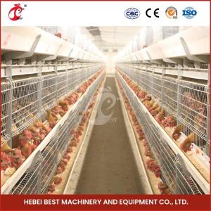 China Hot Galvanized Broiler Transport Cage Silver Color Durable Reliable Mia factory