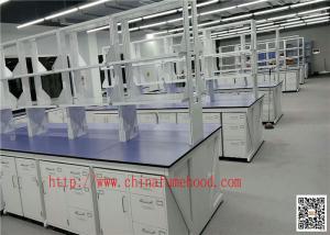 China Chemical Lab Cabinetr / Clean Room Lab Table Price / Steel Benches Manufacturer on sale