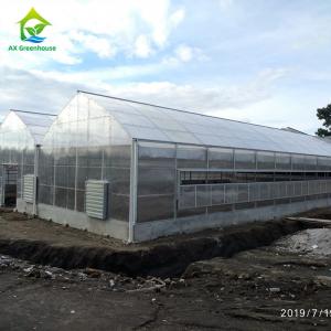 China 1.2g/Cm2 Anti Snow Greenhouse Polycarbonate Sheets 6mm Twin Wall Polycarbonate Panels factory