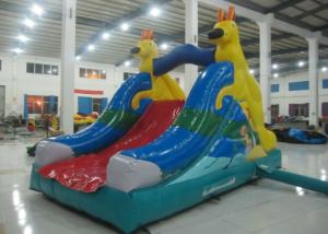 China Big Party Water Slide Bounce House , Outdoor Games Water Park Little Tikes Water Slide factory