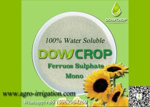 China DOWCROP HIGH QUALITY 100% WATER SOLUBLE MONO SULPHATE FERROUS 30% LIGHT GREEN POWDER MICRO NUTRIENTS FERTILIZER factory