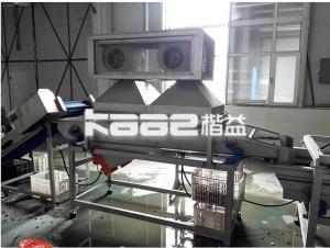 China Turnkey Project Dates Drying Machine 500kg/H Date Syrup Palm Dates Production Lines factory