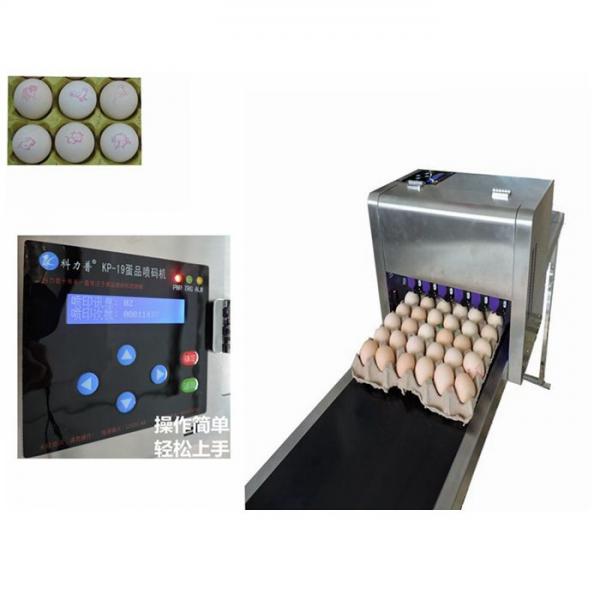 China Full Automatic  Egg Continuous Inkjet Printer With 600 DPI Printing Resolution factory