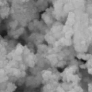 Buy cheap 1μm 50 mg / mL 1 mL Silica Magnetic Beads For DNA Extraction from wholesalers