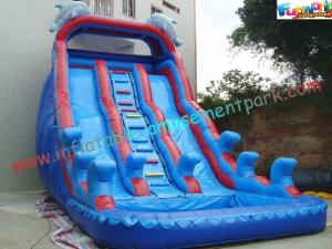 China Giant Dolphin Outdoor Inflatable Water Slides , Three Line Inflatable Water Slide Pool on sale