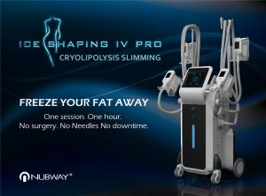 China Cryolipolysis Cool Shaping Machine 4 Handles Body Shaper / 4 Handles Can Work At The Same Time on sale